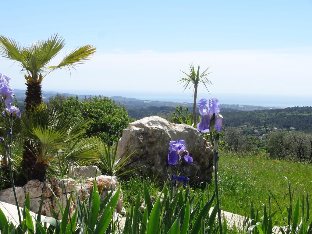 Les 4 Elements Bed & Breakfast Tourrettes-sur-Loup Bagian luar foto