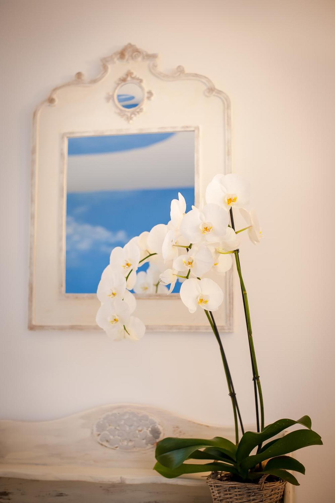 Les 4 Elements Bed & Breakfast Tourrettes-sur-Loup Ruang foto