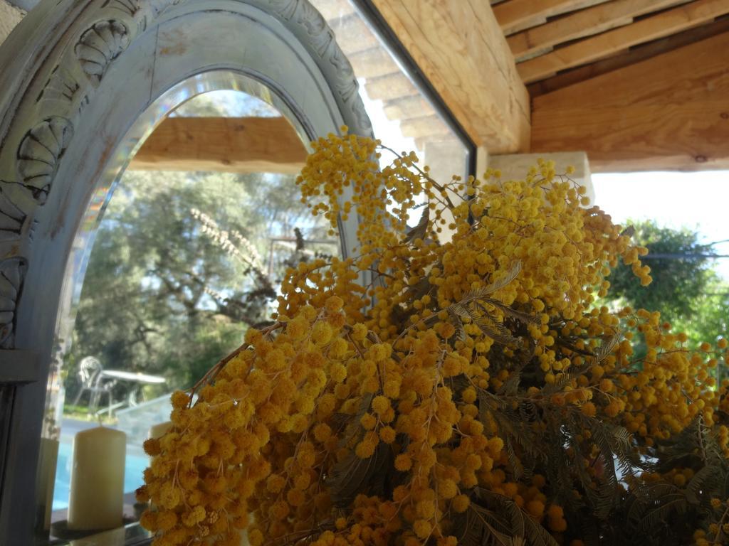 Les 4 Elements Bed & Breakfast Tourrettes-sur-Loup Bagian luar foto