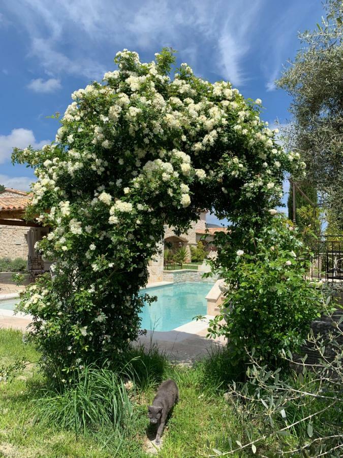 Les 4 Elements Bed & Breakfast Tourrettes-sur-Loup Bagian luar foto