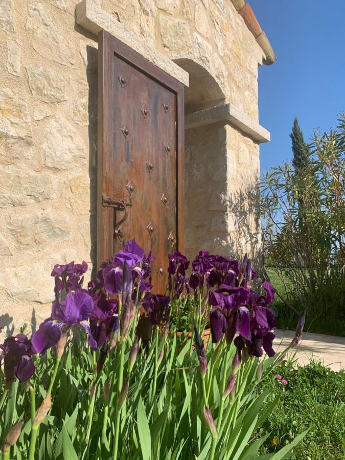 Les 4 Elements Bed & Breakfast Tourrettes-sur-Loup Bagian luar foto