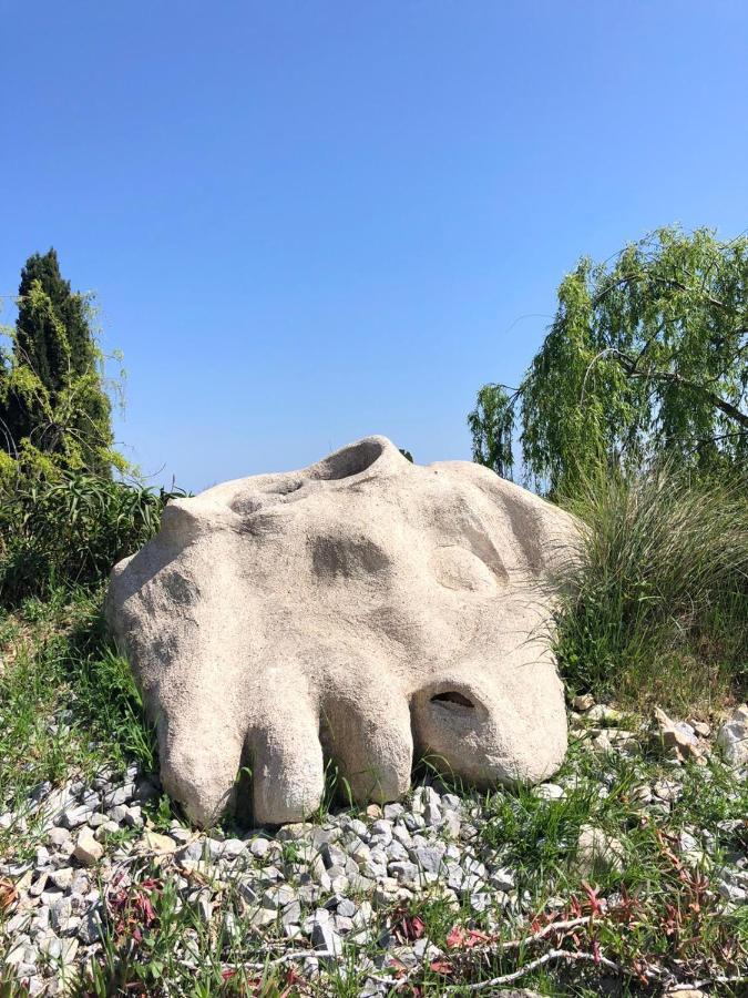 Les 4 Elements Bed & Breakfast Tourrettes-sur-Loup Bagian luar foto